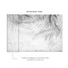 Affreschi-Affreschi | About You | AY 52